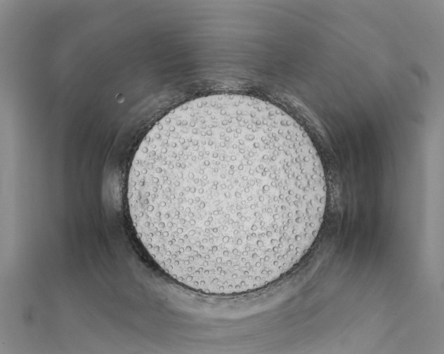 X0000111390026200908211411