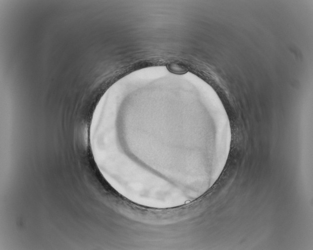 X0000111390027200908211411