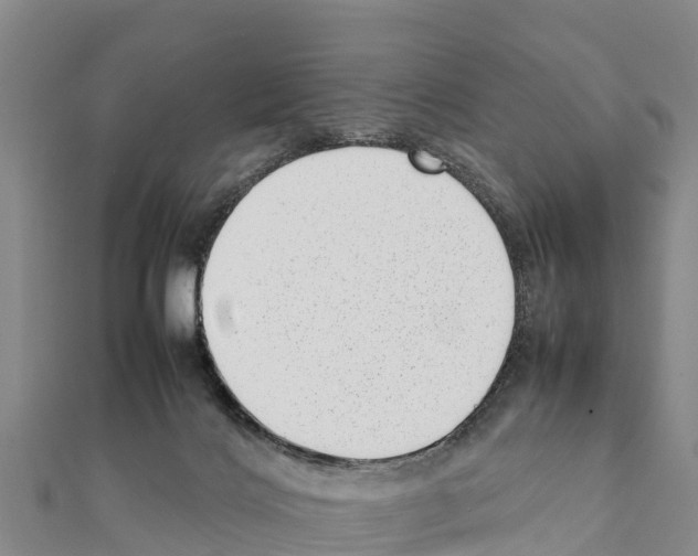 X0000111390028200908211411