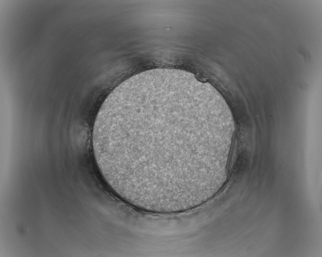 X0000111390029200908211411