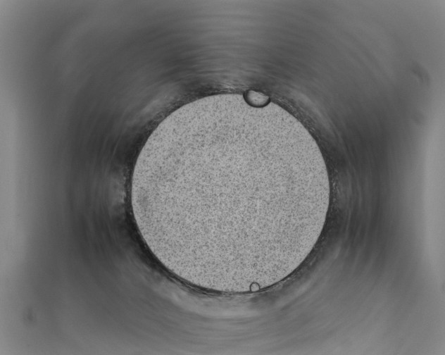 X0000111390032200908211411