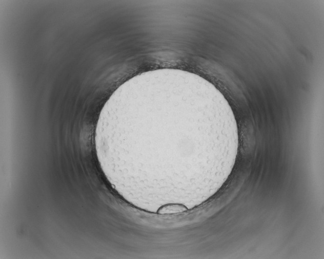 X0000111390034200908211411