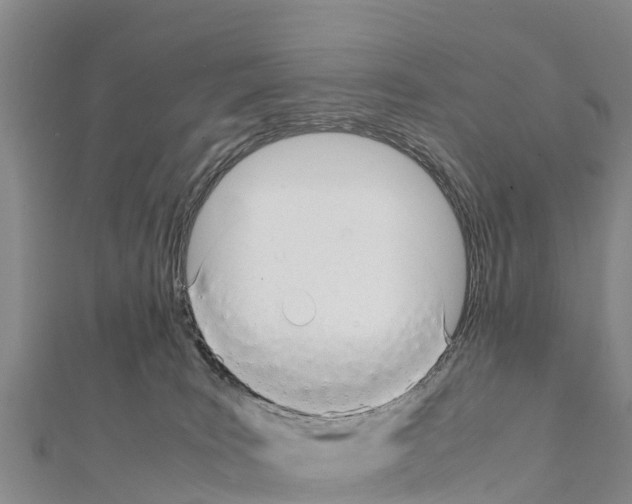 X0000111390035200908211411