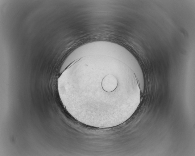 X0000111390036200908211411