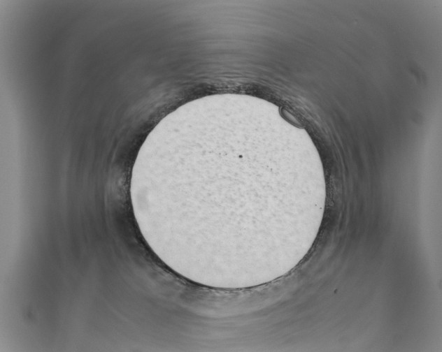 X0000111390037200908211411