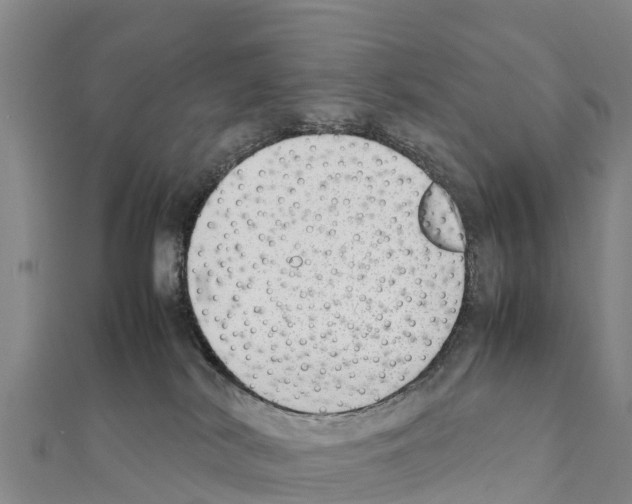 X0000111390038200908211411
