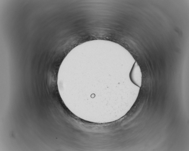 X0000111390040200908211411