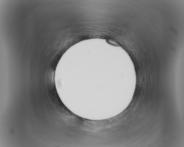 X0000111390041200908211411