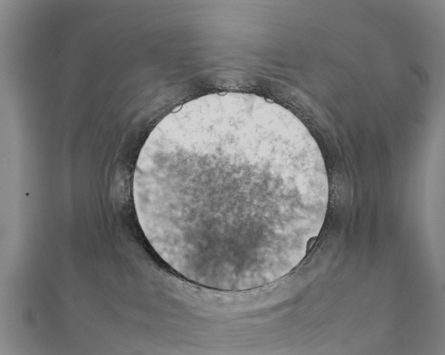 X0000111390043200908211411