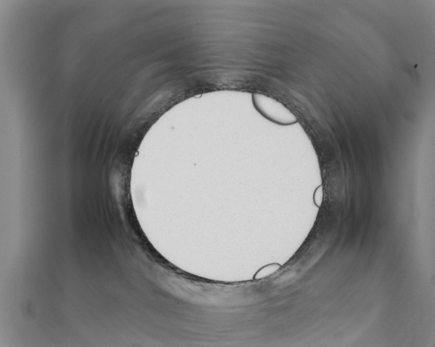 X0000111390044200908211411