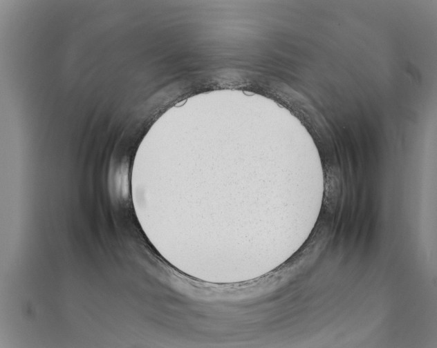 X0000111390046200908211411