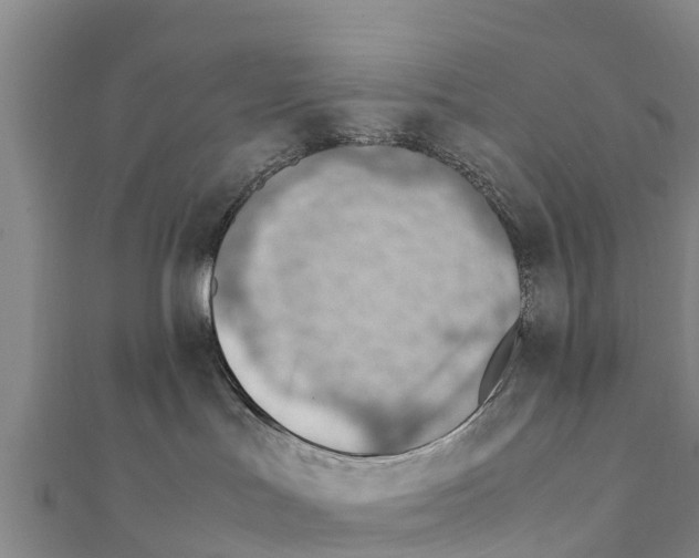 X0000111390047200908211411