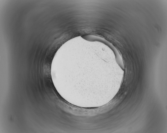 X0000111390048200908211411