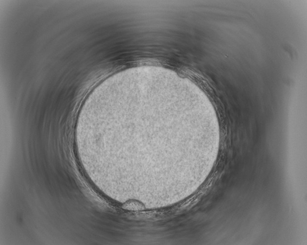 X0000111390049200908211410