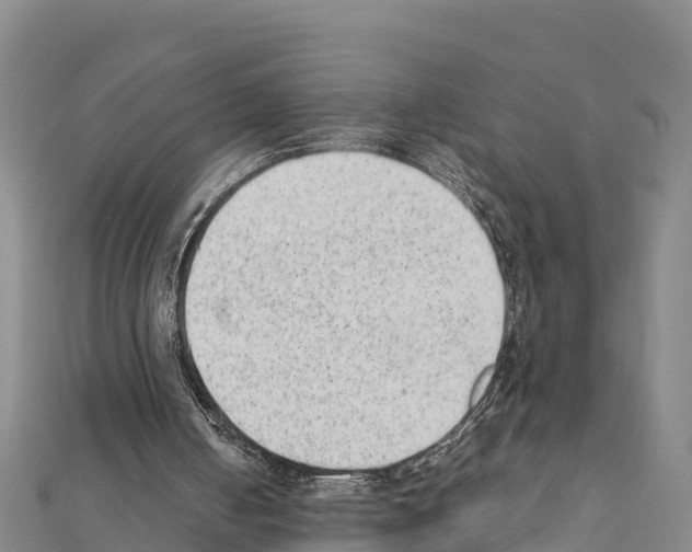 X0000111390050200908211410