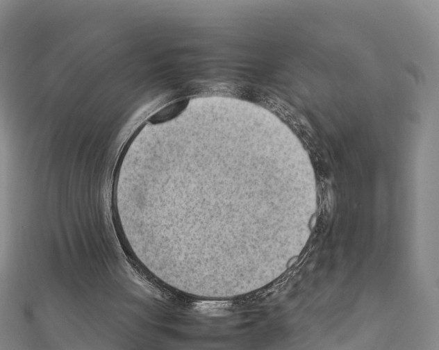 X0000111390051200908211410
