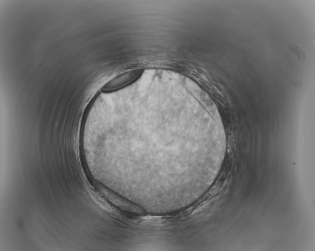 X0000111390052200908211410