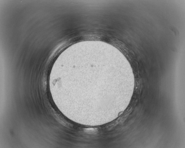 X0000111390053200908211410