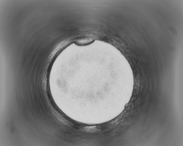 X0000111390054200908211411