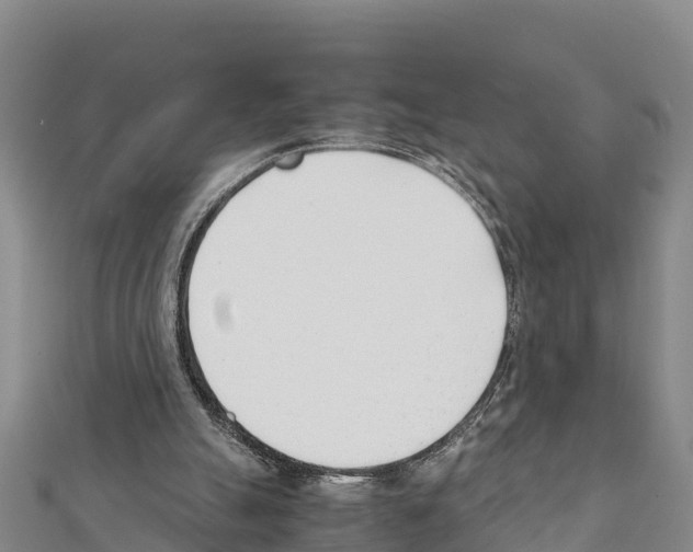 X0000111390055200908211411