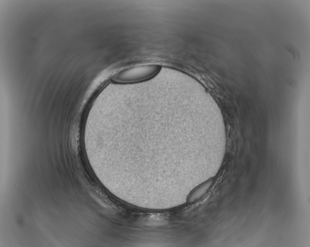 X0000111390056200908211411
