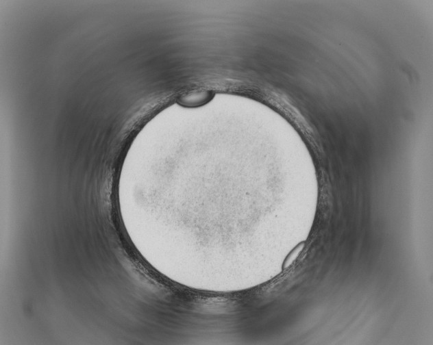 X0000111390058200908211411