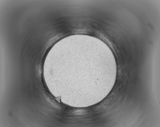 X0000111390059200908211411