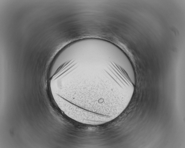 X0000111390060200908211411