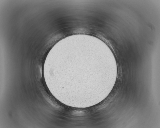 X0000111390061200908211411