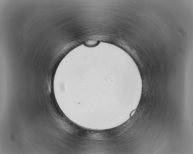 X0000111390062200908211411