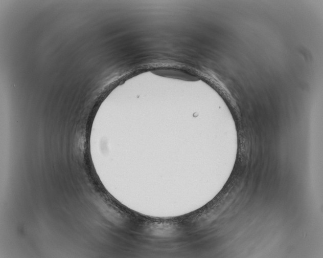 X0000111390063200908211411