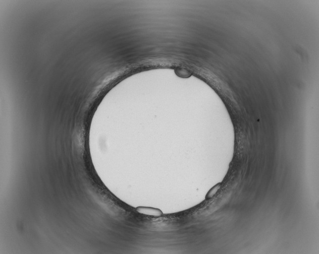 X0000111390064200908211411