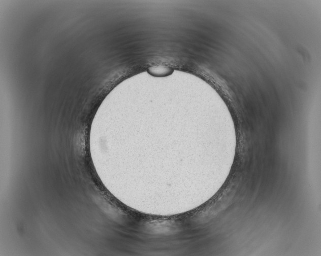 X0000111390065200908211411