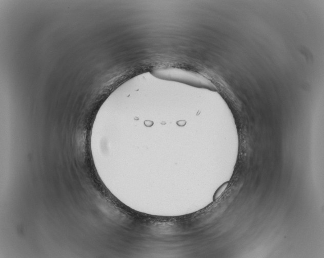 X0000111390066200908211411