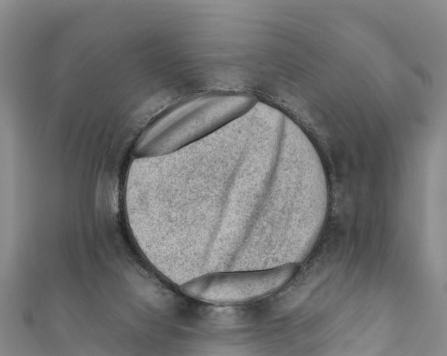 X0000111390068200908211411