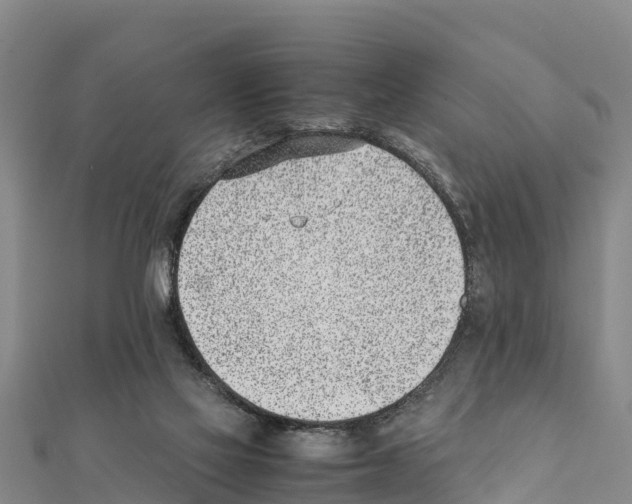 X0000111390069200908211411