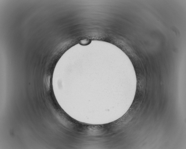 X0000111390070200908211411