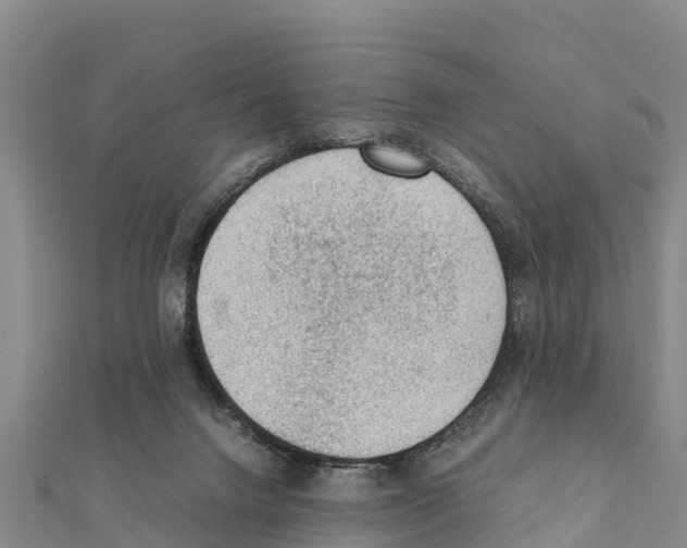 X0000111390072200908211411