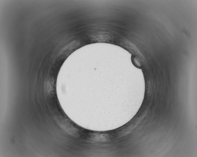 X0000111390073200908211411