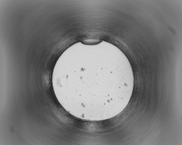 X0000111390074200908211411