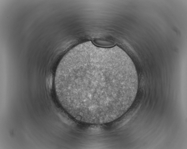X0000111390076200908211411