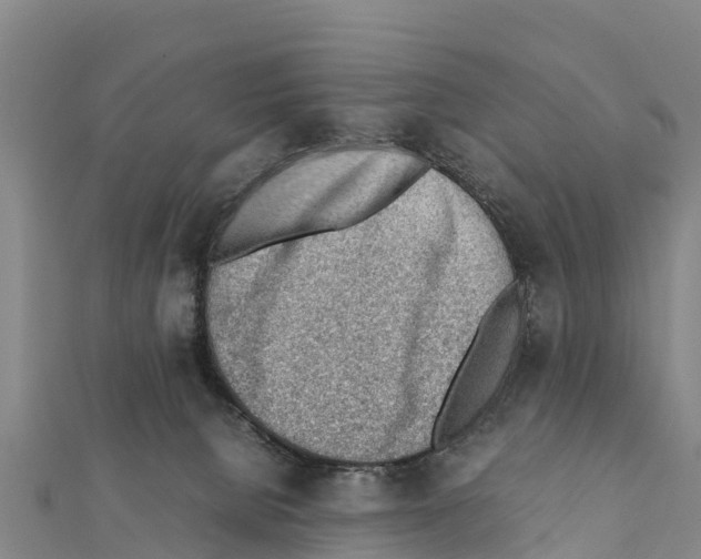 X0000111390080200908211411