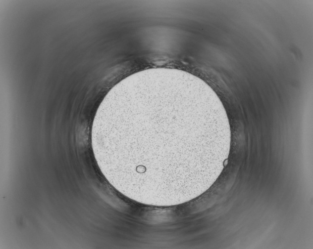 X0000111390081200908211411