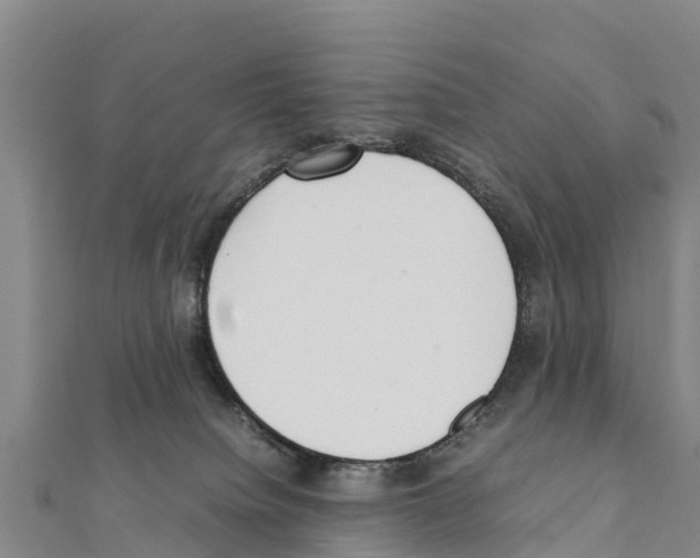 X0000111390084200908211411