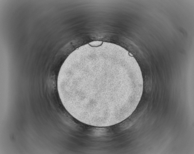 X0000111390085200908211411