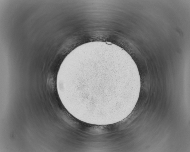 X0000111390086200908211411