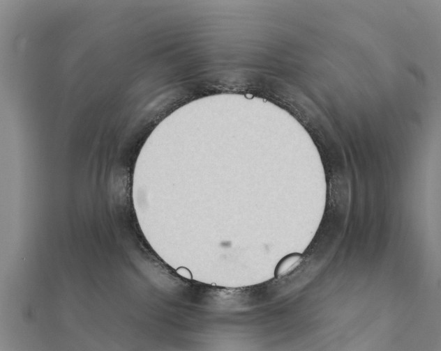 X0000111390092200908211411