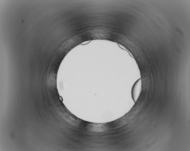 X0000111390093200908211411
