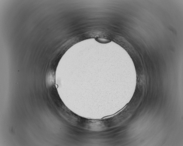 X0000111390095200908211411