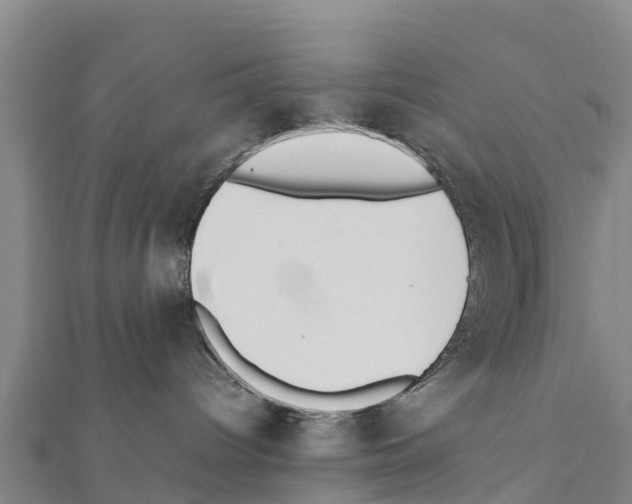 X0000111390096200908211411